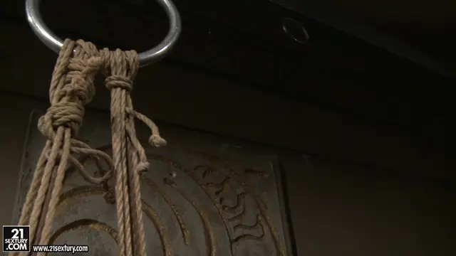 Poster: Fox in the Trap