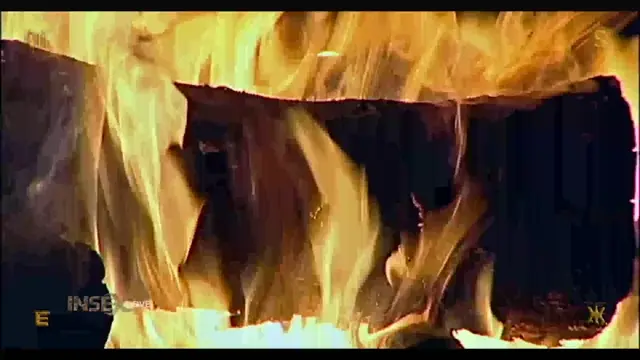 Poster: Turkey Shoot (INSEX - Remastered) bdsm xxx video