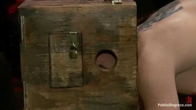 Poster: Beautiful Brunette Reduced to a Three Holed Whore