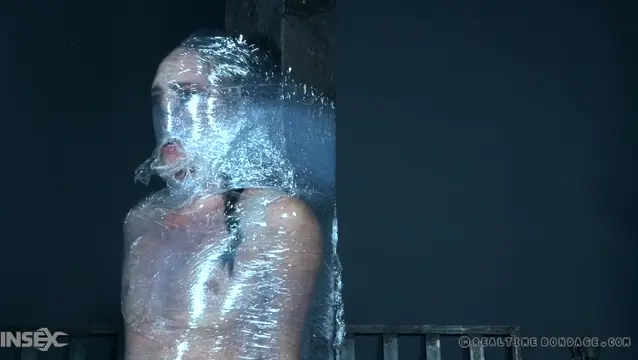 Poster: More Than She Bargained For Part 2