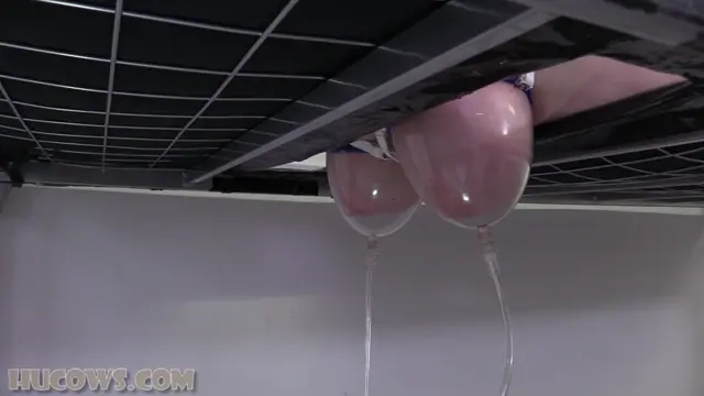 Poster: French HuCow