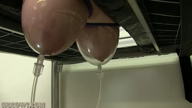 Poster: Udder expansion