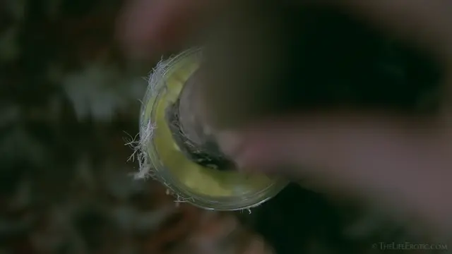 Poster: Four Color 2