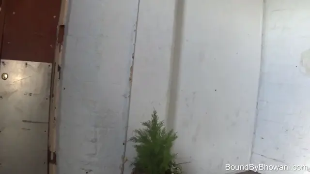 Poster: Elevator Bondage