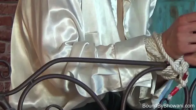 Poster: Silk, Spandex and Laboutins