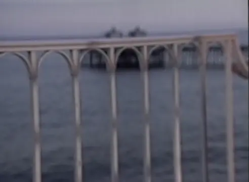 Poster: Lethal Lust, Scene 1