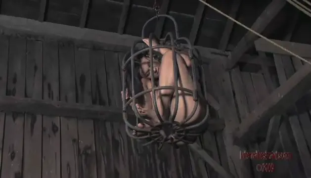 Poster: Taken for a Ride