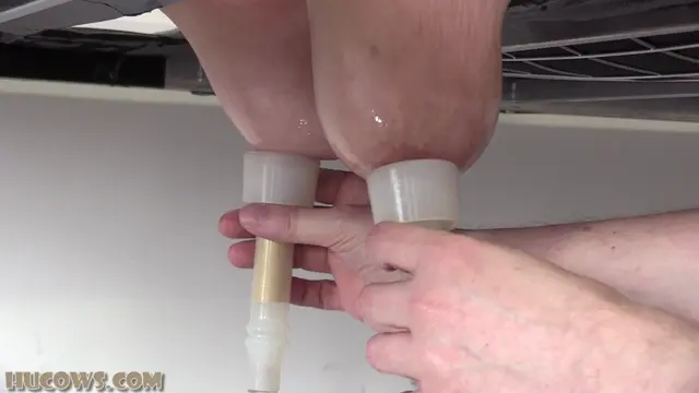 Poster: On The Milking Bed