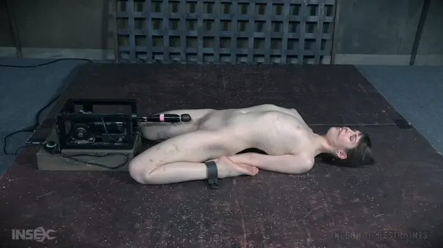 Poster: Blossom (Cherried Blossom Part 2 / 17. 2.2017)