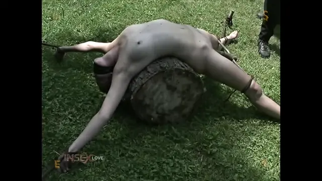 Poster: Tyler File 3