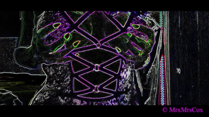 Poster: Sexy Neon Booty and Titty Dance by Mrs Cox