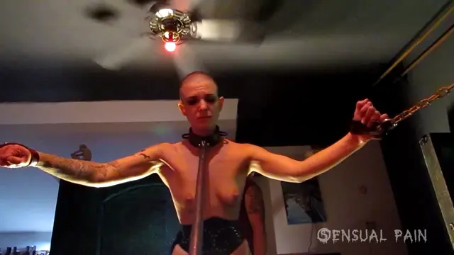 Poster: SENSUAL PAIN: 50 of All 75 Lashings | |