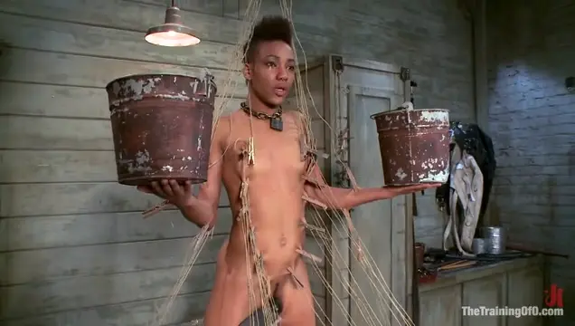 Poster: The Training of Nikki Darling, Day Four, Scene 1